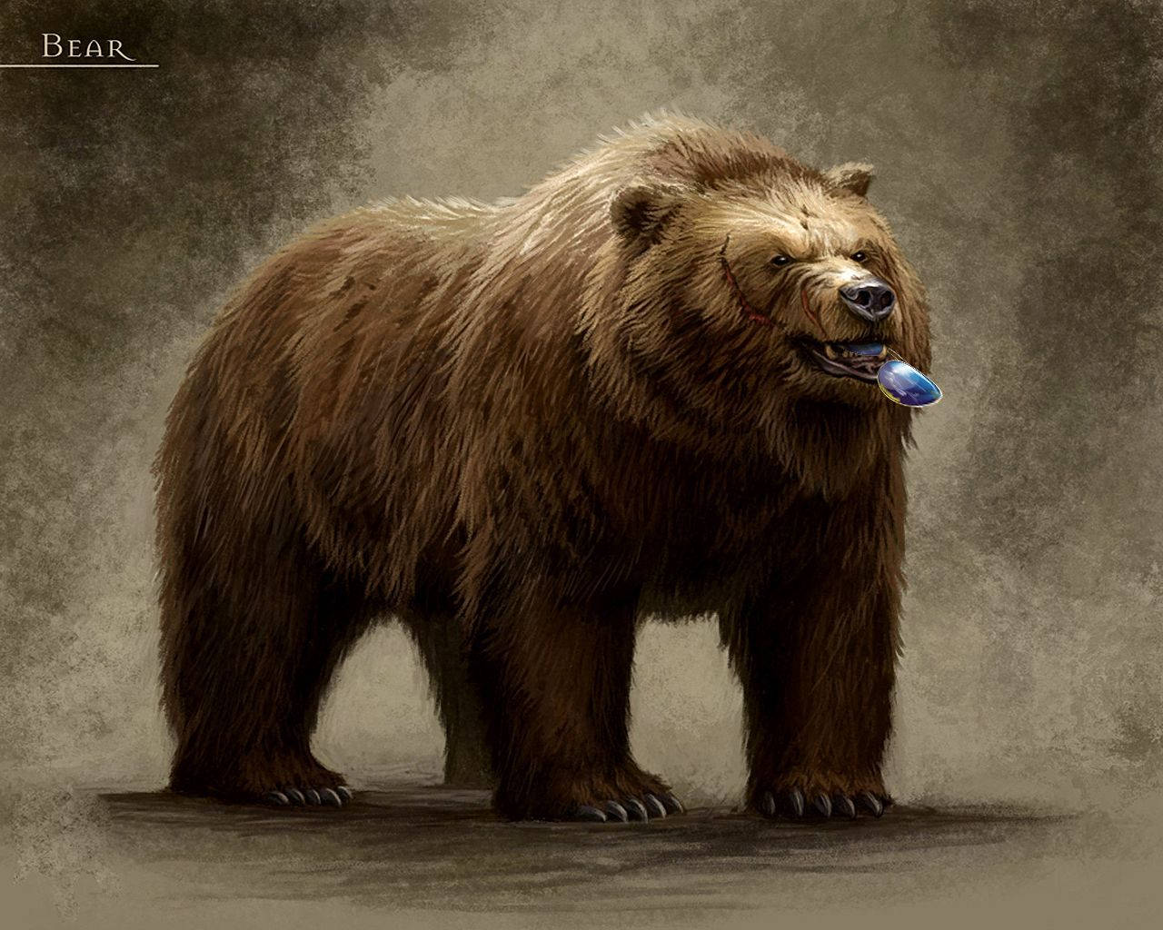 Intellectual Kodiak Bear With Eyeglasses Background