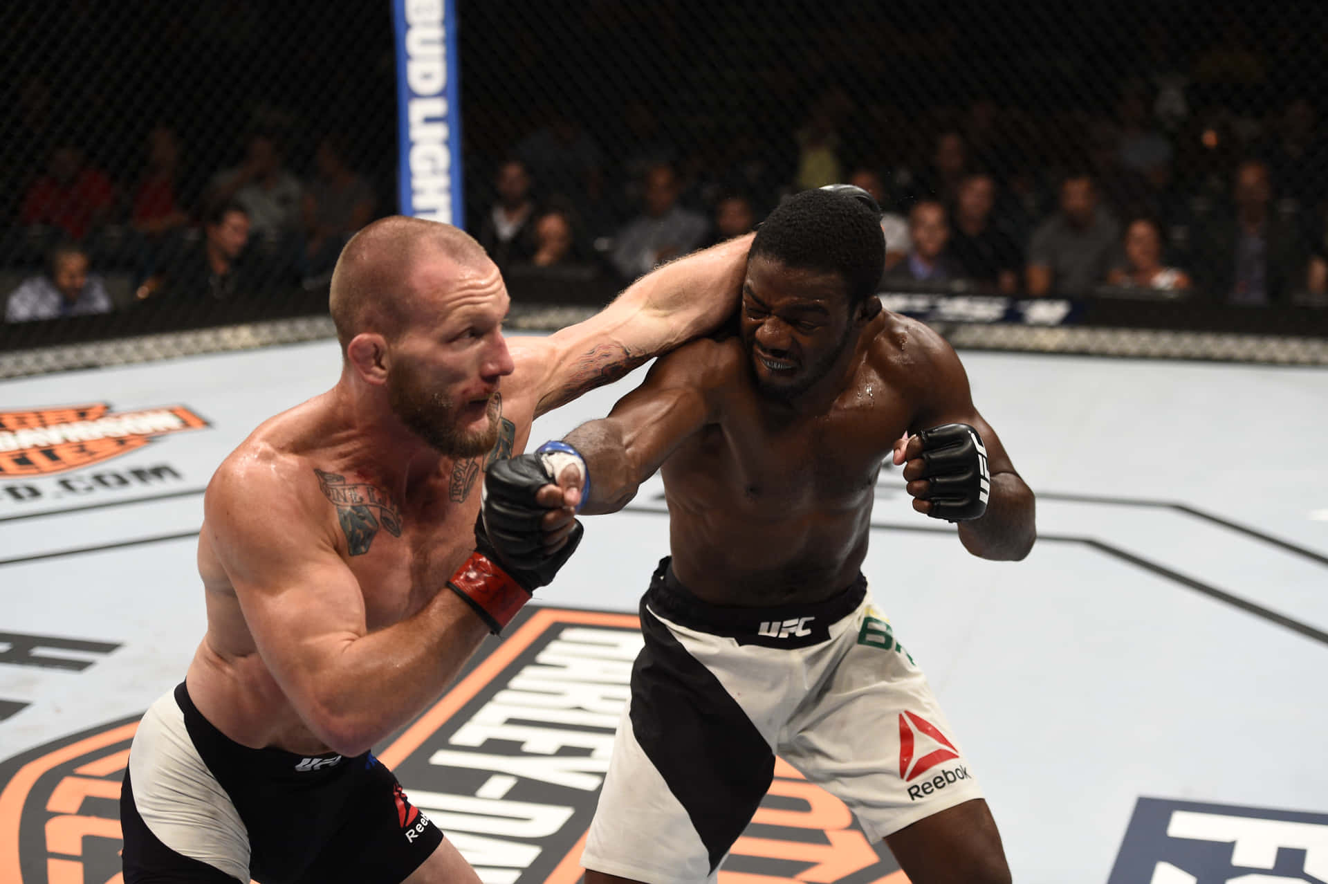 Intense Action Between Gray Maynard And Uriah Hall At A Ufc Championship Background