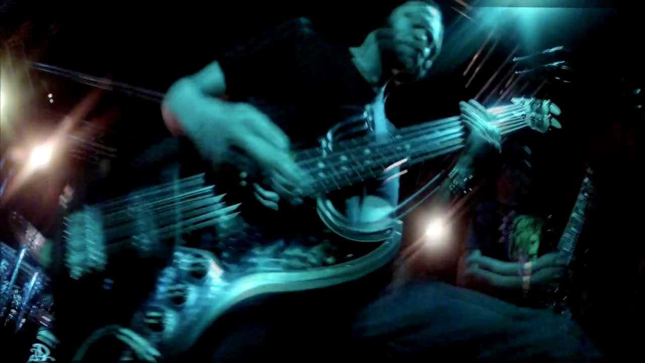 Intense_ Bass_ Player_ Concert_ Moment.jpg