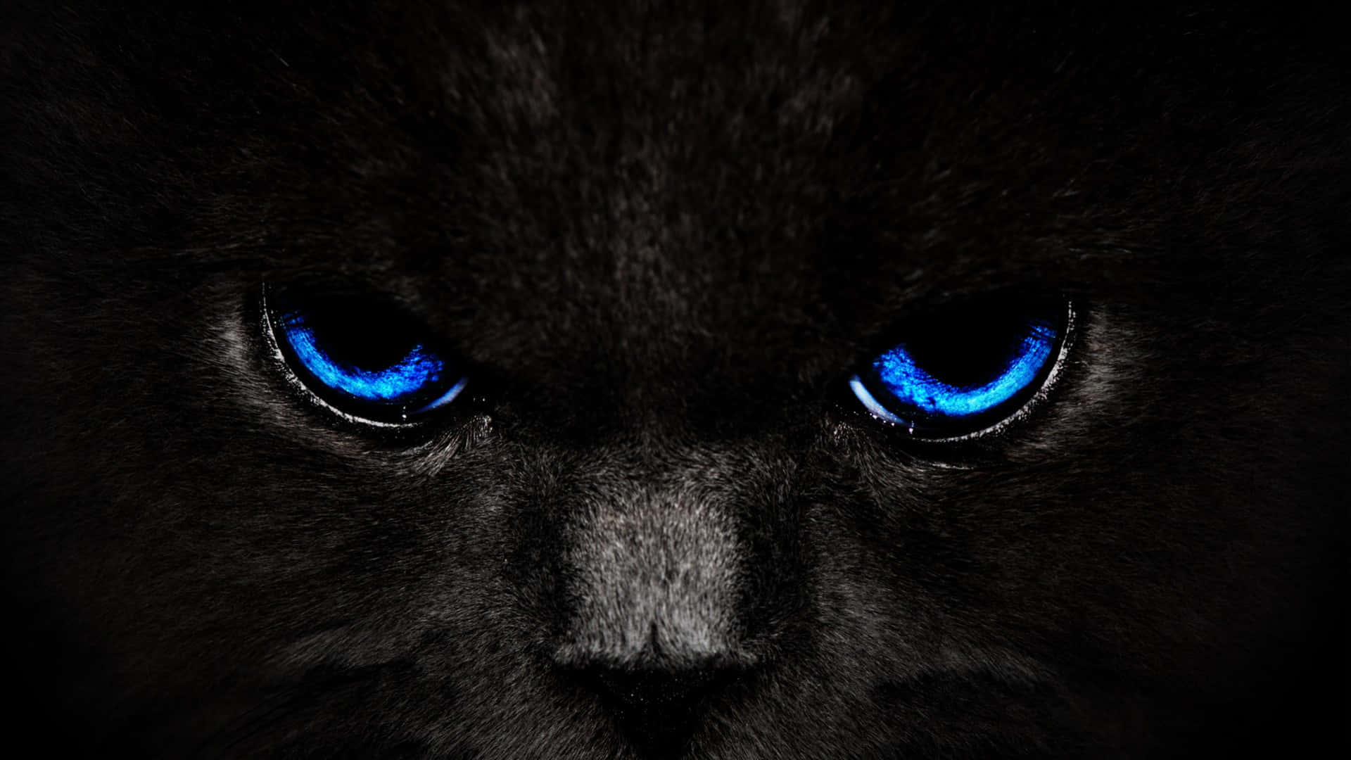 Intense_ Blue_ Eyes_ Black_ Panther Background