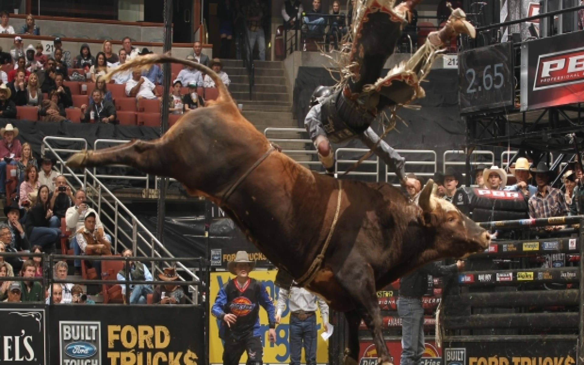 Intense Bull Riding