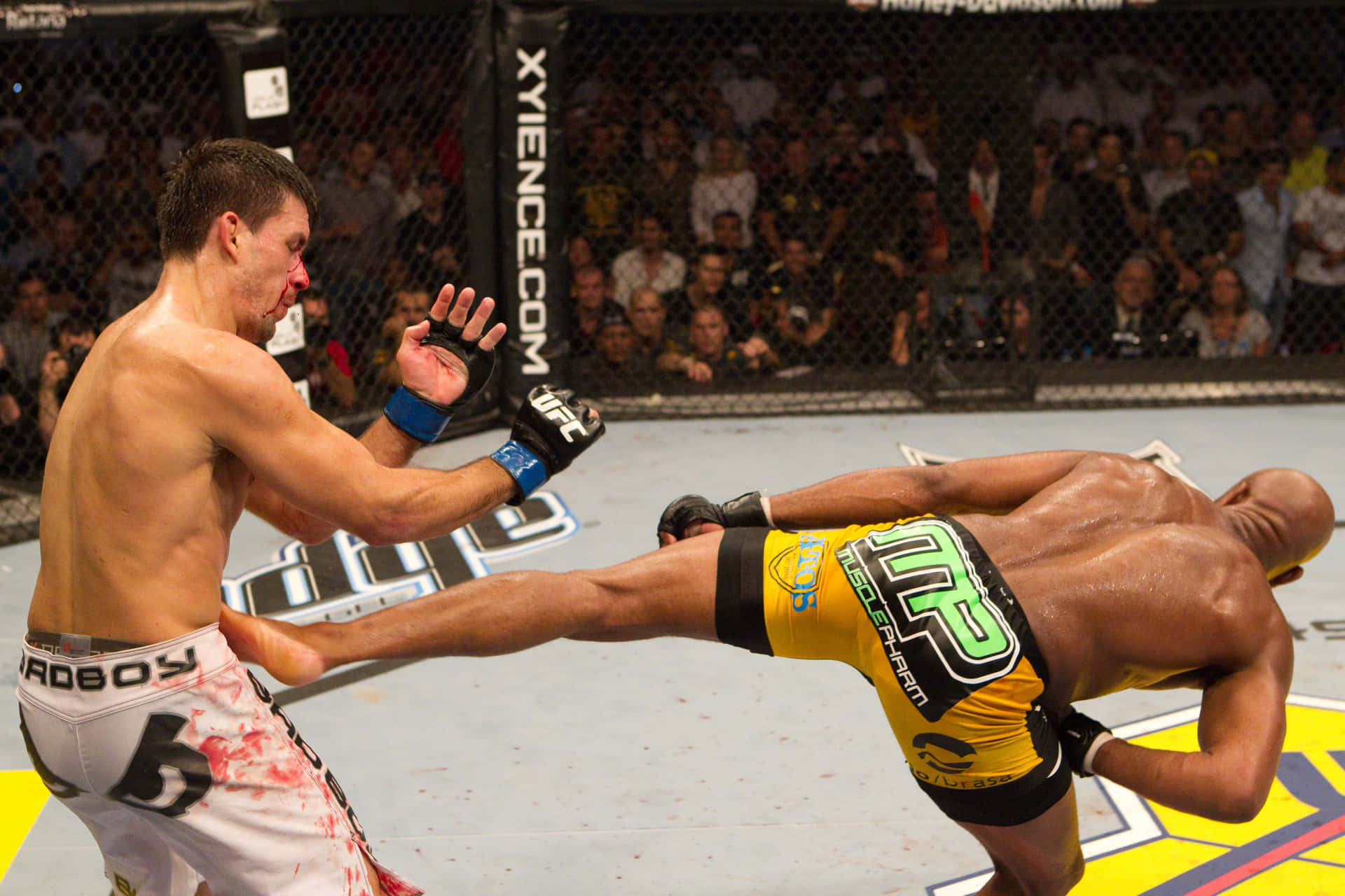 Intense Fight Scene Between Demian Maia And Anderson Silva