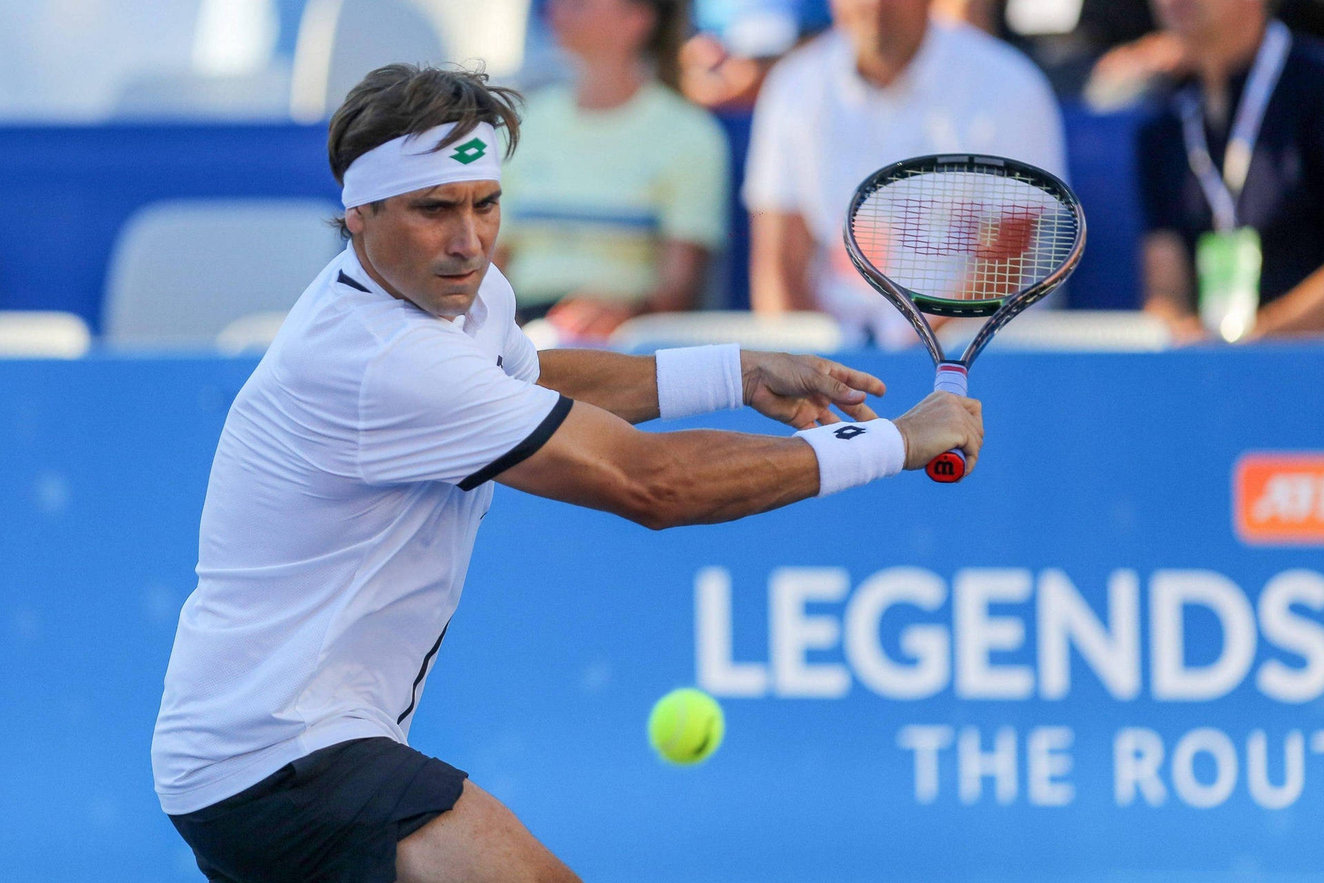 Intense Focus: David Ferrer Eyes On The Ball Background