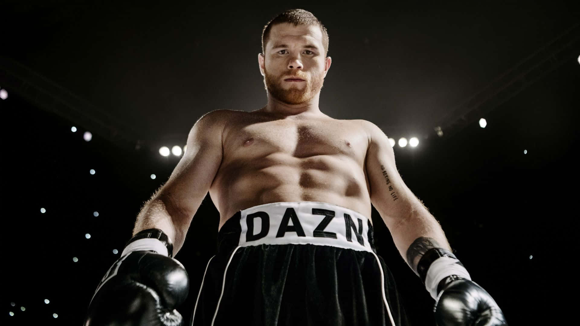 Intense Focus - Saul Canelo Alvarez In Action Background