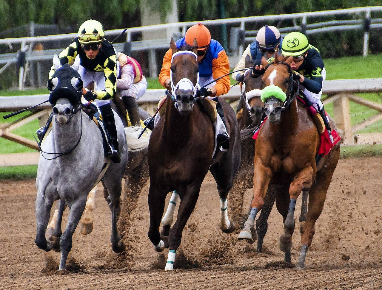 Intense Horse Racing Action At The Kentucky Derby