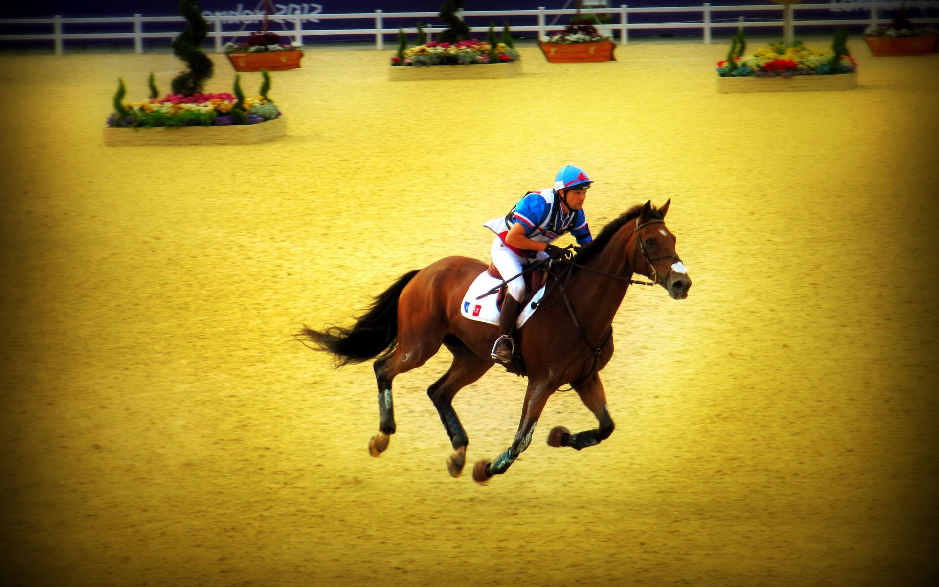 Intense Horse Riding Competition Background