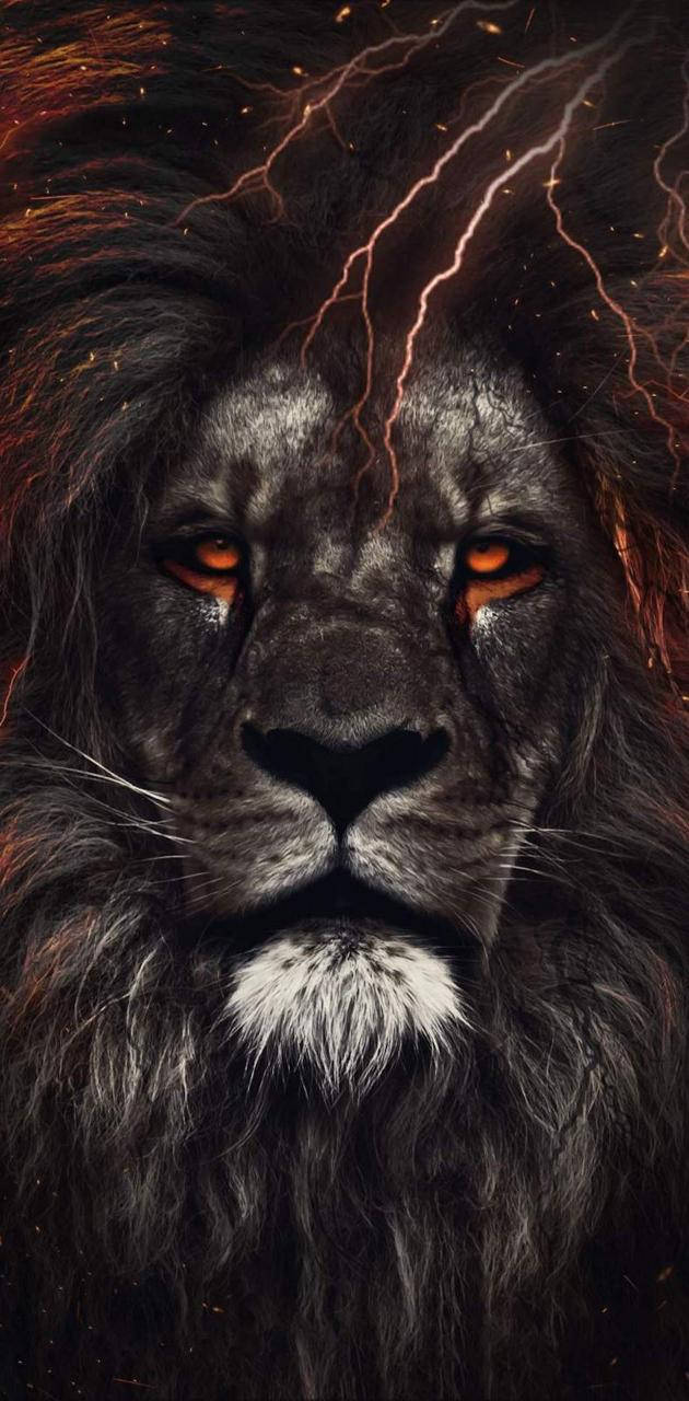 Intense Leo Lion Background