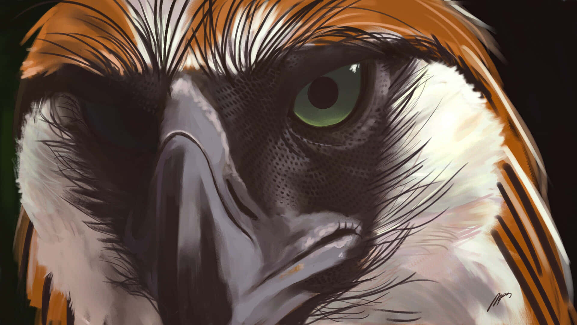 Intense_ Philippine_ Eagle_ Eye_ Artwork.jpg Background