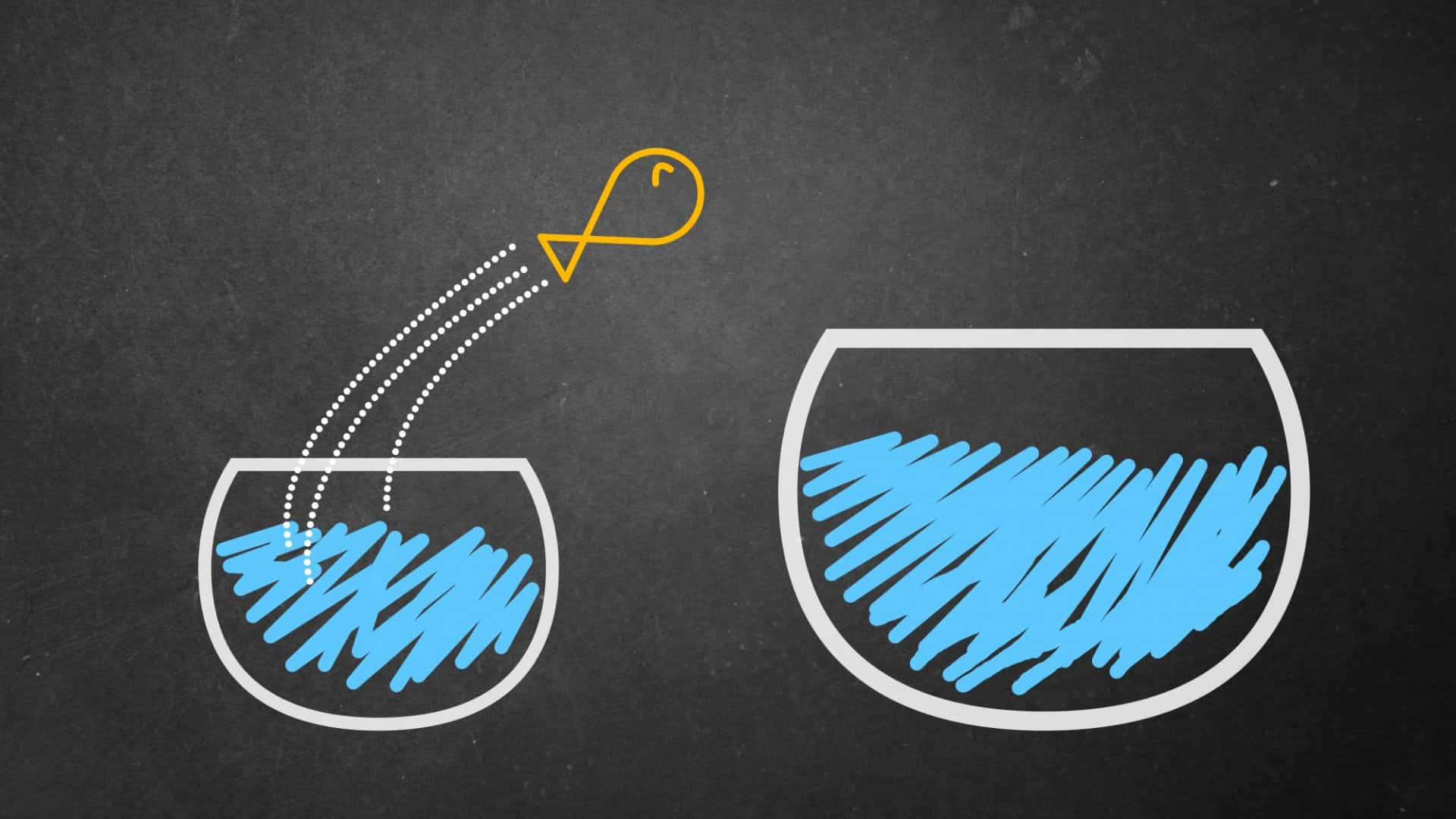 Intentional Fish Background