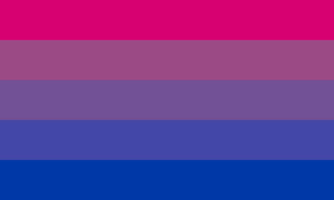Interesting Bi Pride Flag