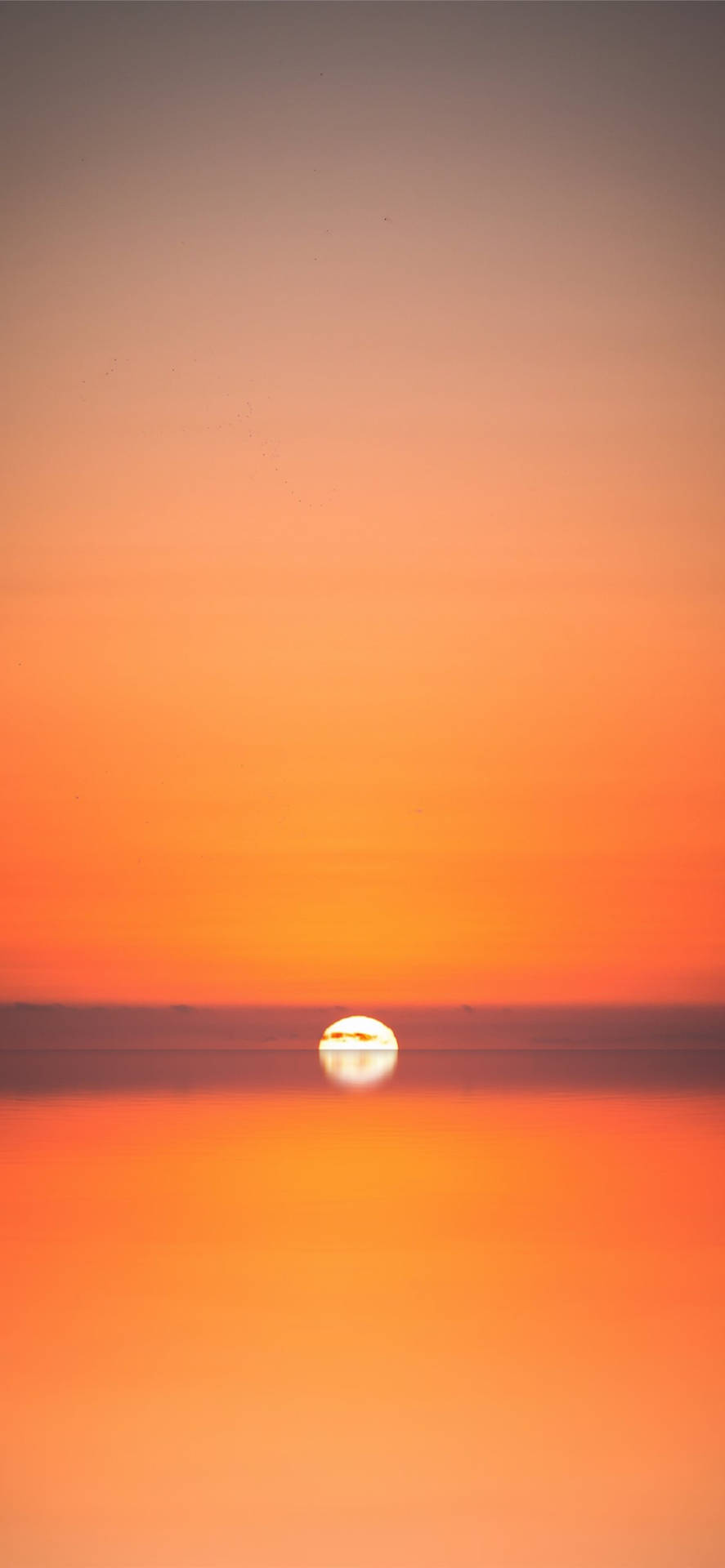 Interesting Sunset Beach Iphone Background