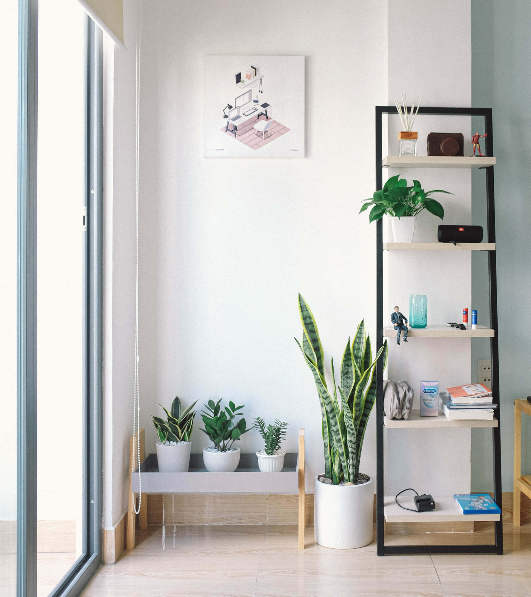 Interior House Plants Decor Background