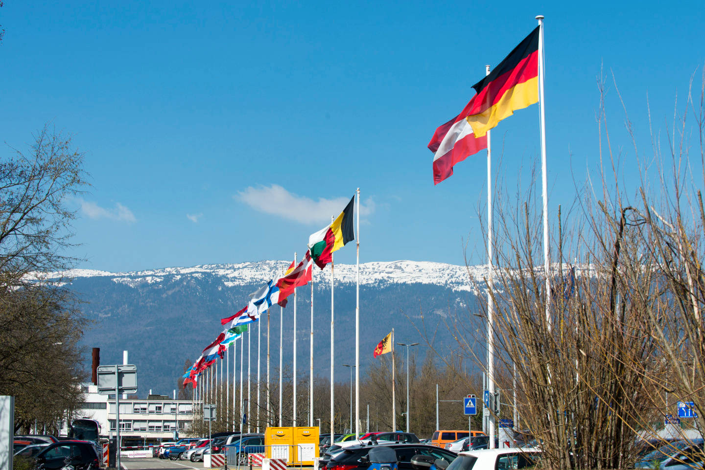 International Flags On Street