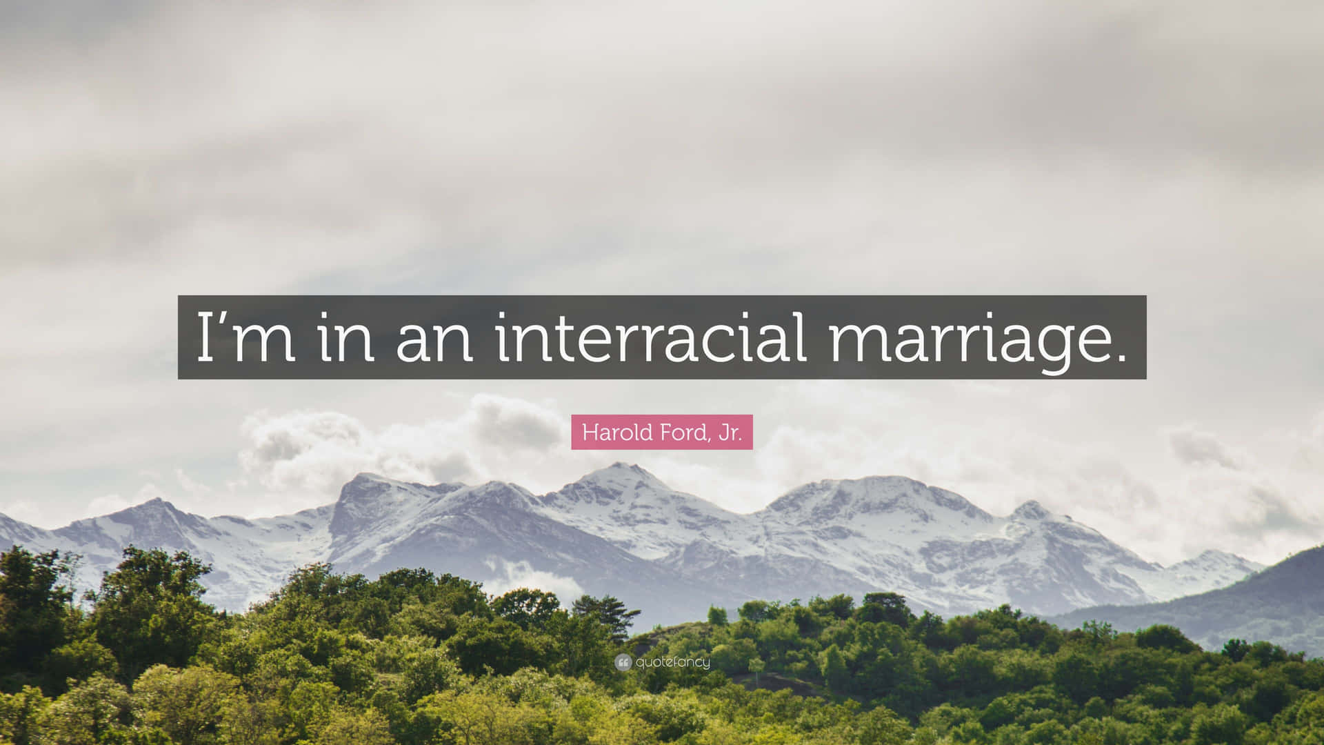 Interracial Marriage Quote Harold Ford Jr Background