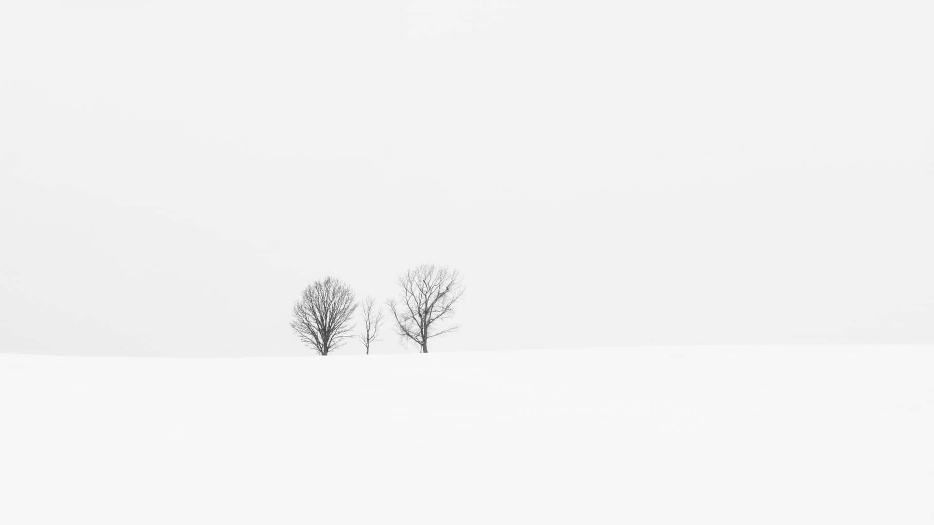 Intimate View Of Winter Landscape Background