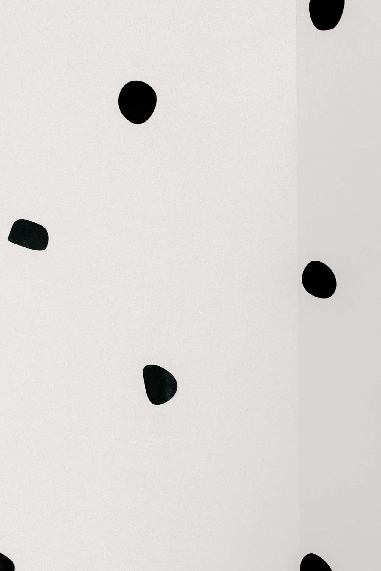 Intricate Black And White Dots Pattern Background