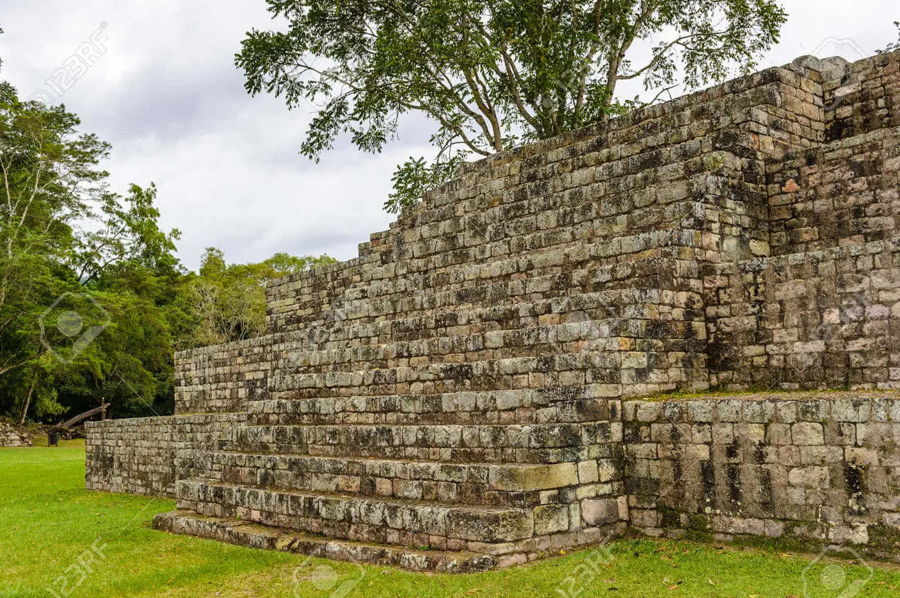 Intricate Carvings Of Mayan Ruins At Copan Background