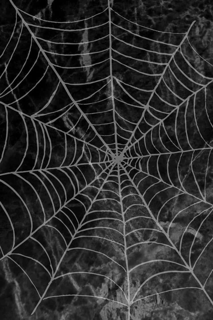 Intricate Spider Web Dark Background Background