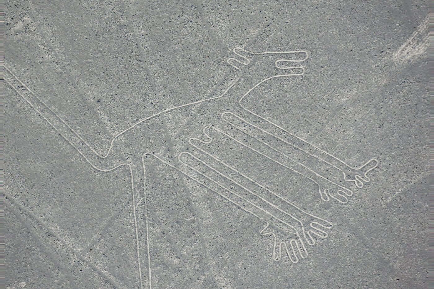 Intriguing Arial View Of Nazca Lines Background