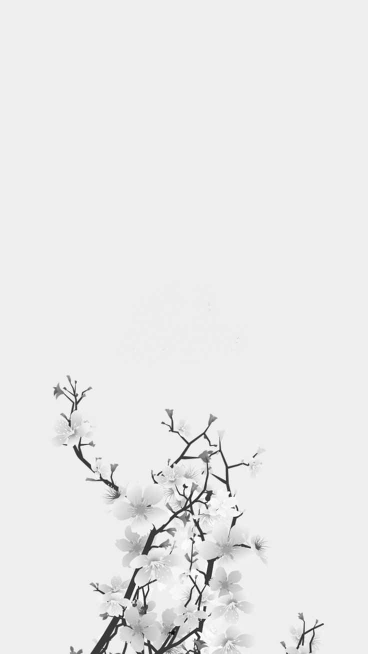 Intriguing Monochrome Bloom Background