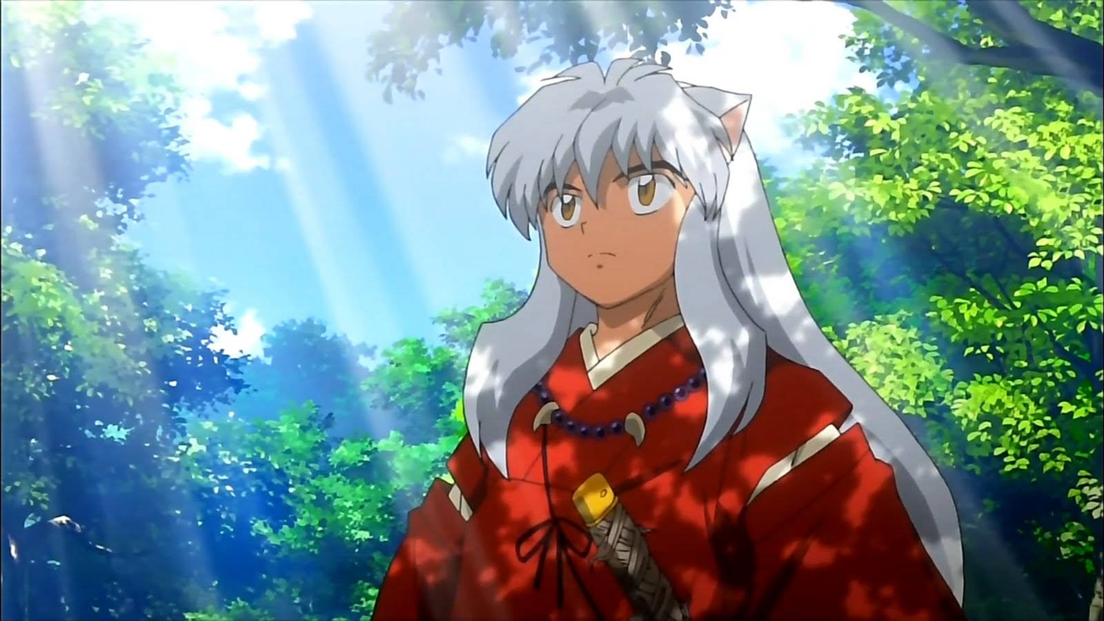 Inuyasha In A Forest