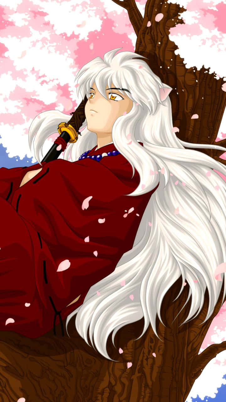 Inuyasha In Sakura Tree Phone Background