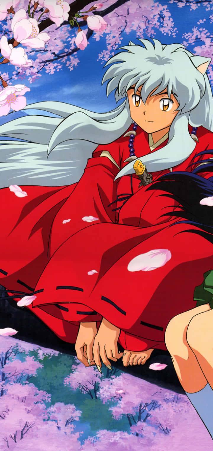 Inuyasha In Sakura Tree Phone Background