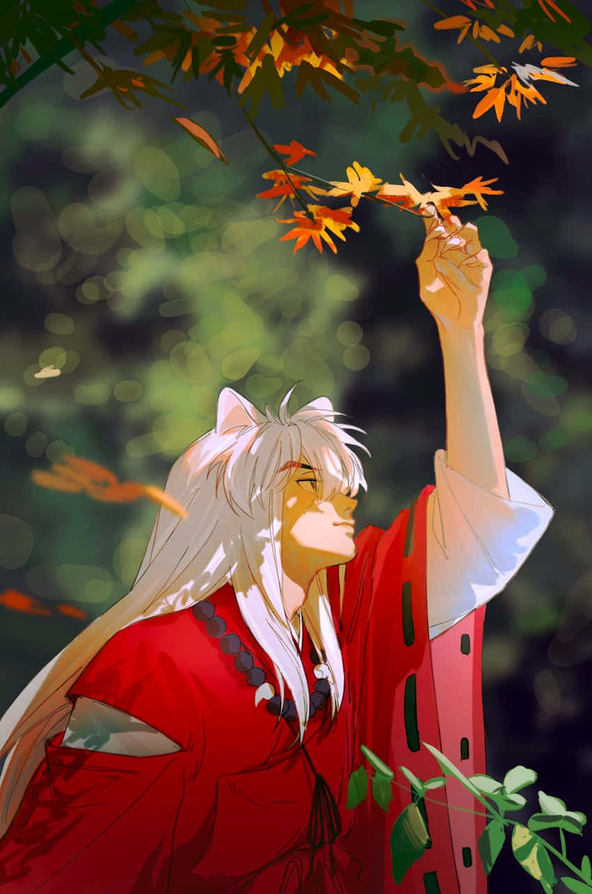 Inuyasha Picking Leaves Phone Background