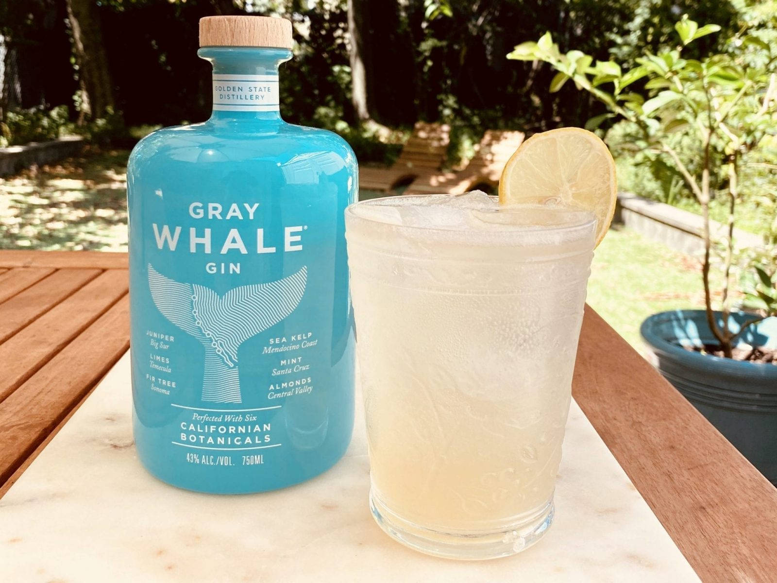 Invigorating Gray Whale Gin Cocktail Background