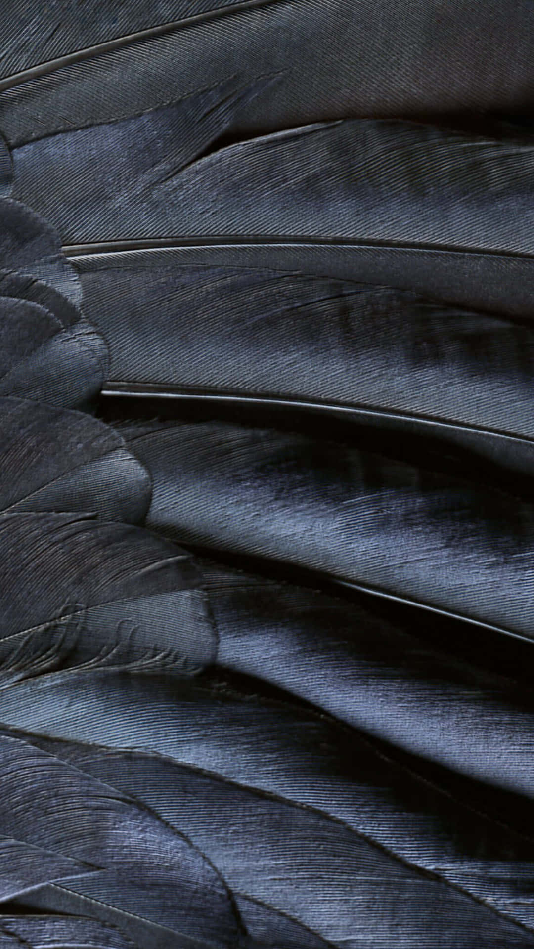 Ios 1 Grey Leathery Wing Texture