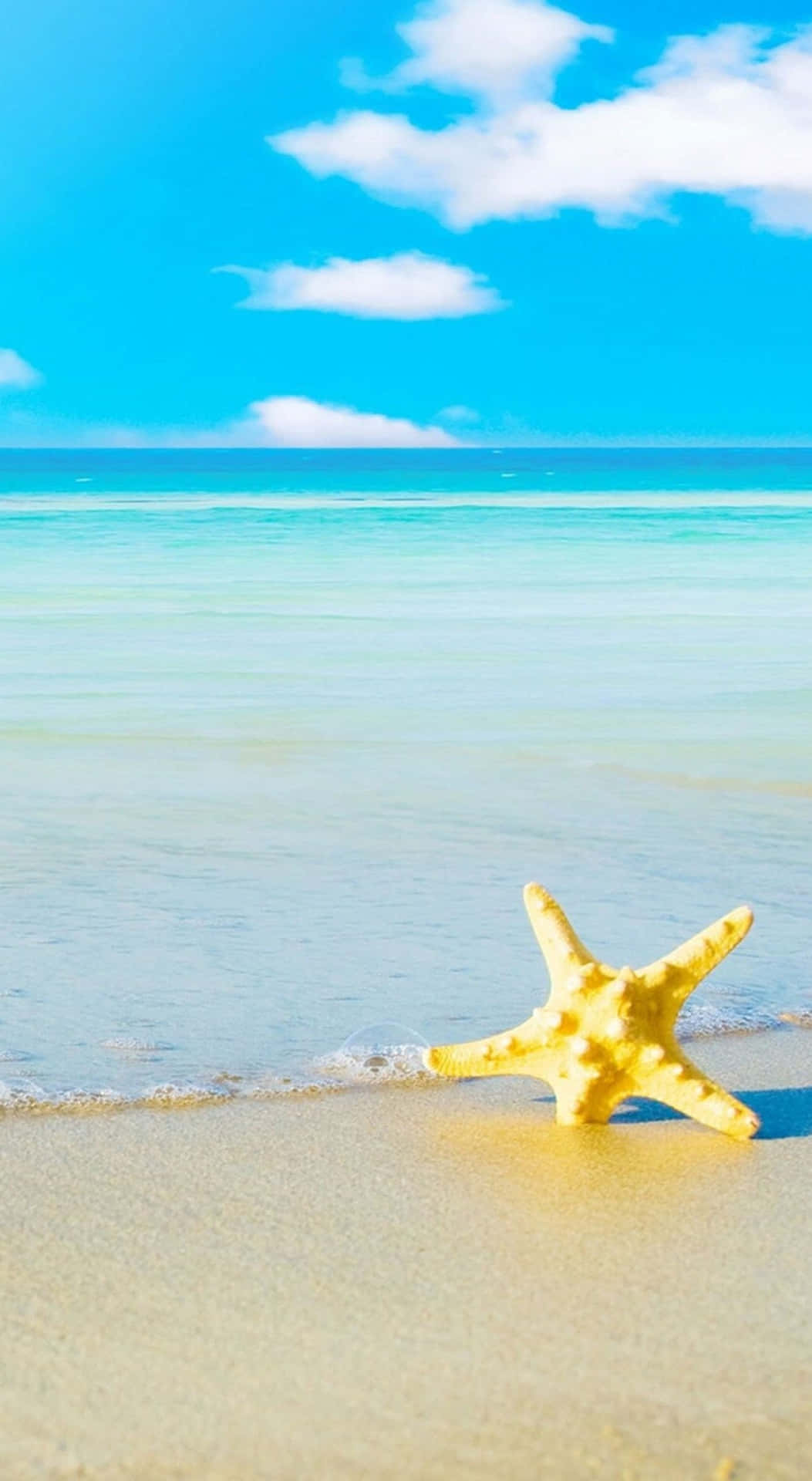 Ios Beach Starfish