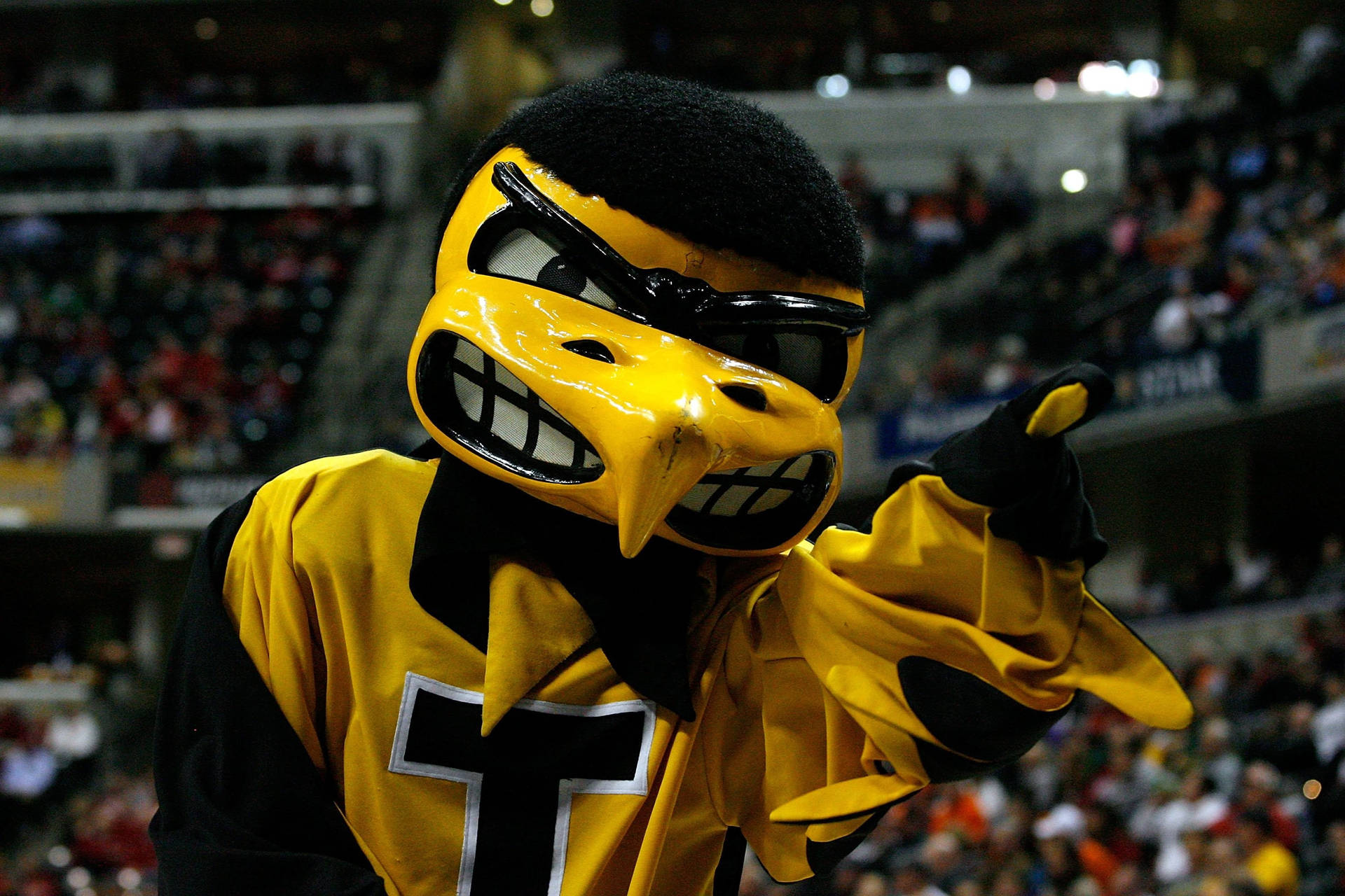 Iowa Hawkeyes Mascot In Action Background