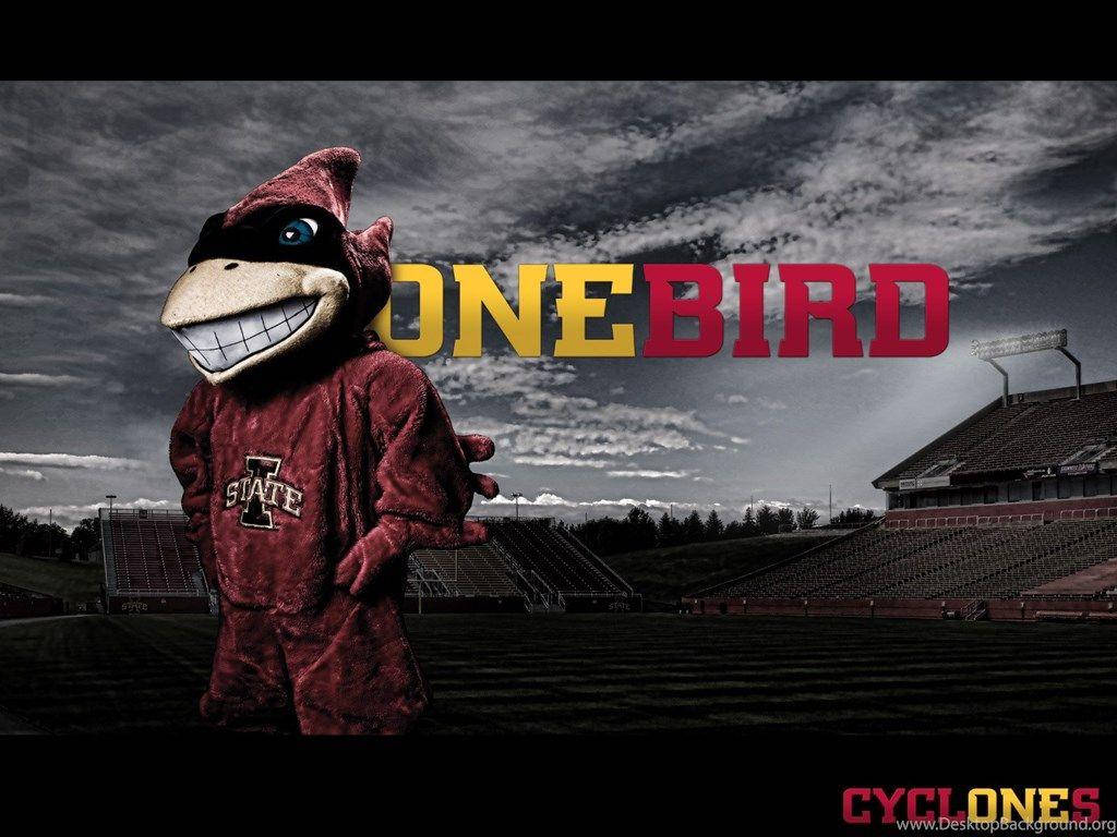 Iowa State University Cy The Cardinal Background