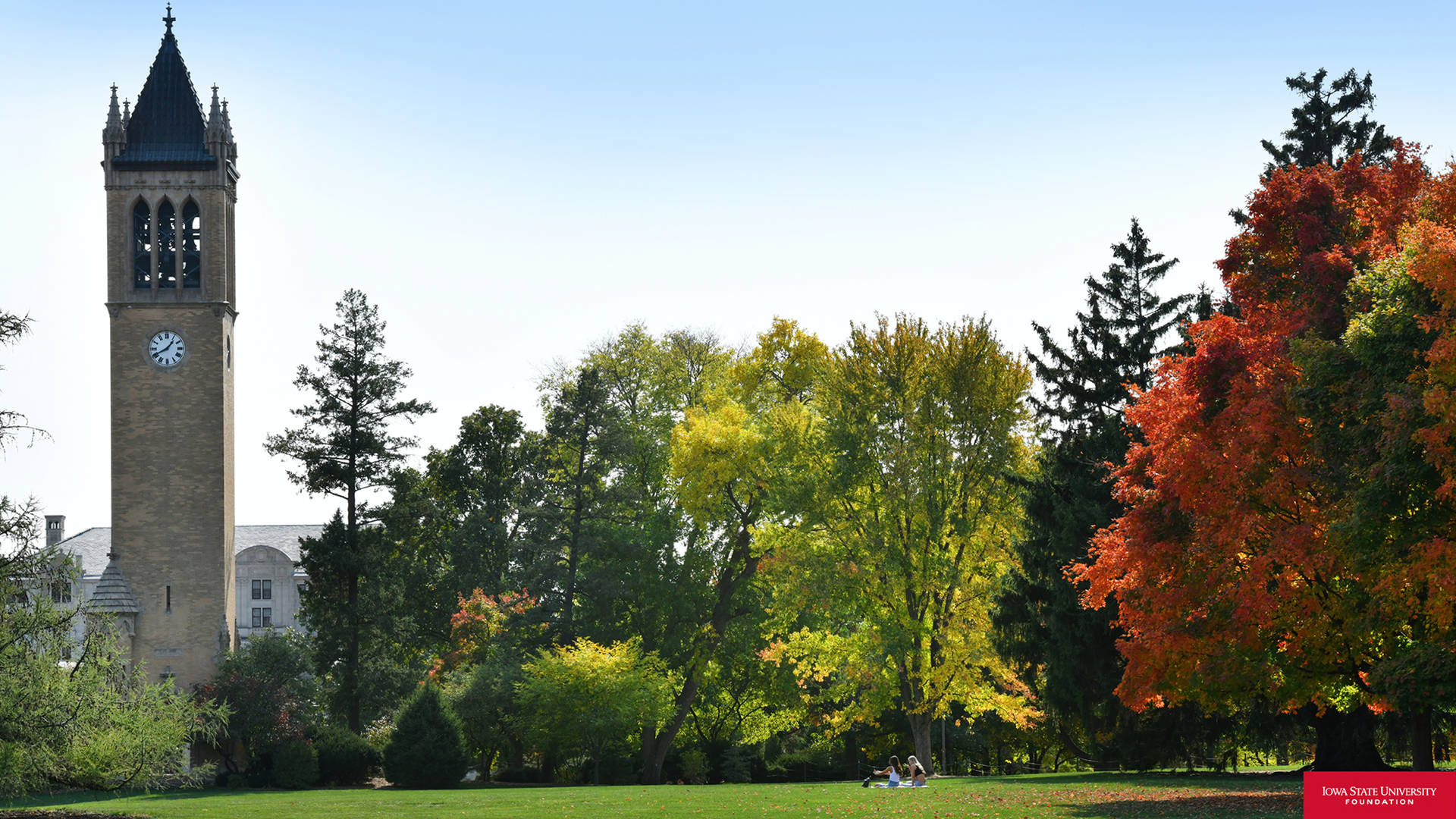 Iowa State University Evergreens Background