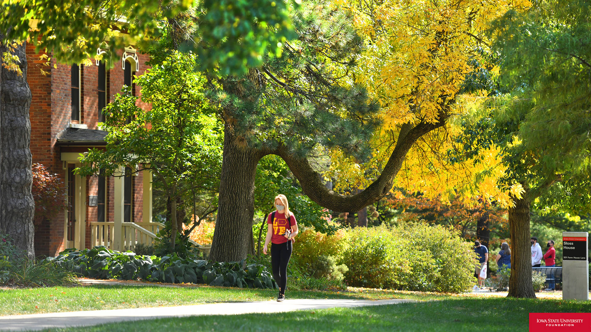 Iowa State University Masked Student Background