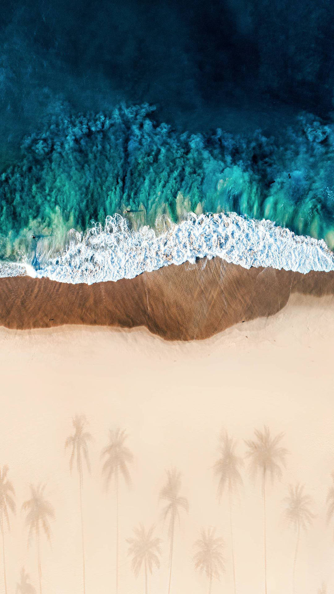 Ipad Pro Beach Shore With Tree Shadows Background