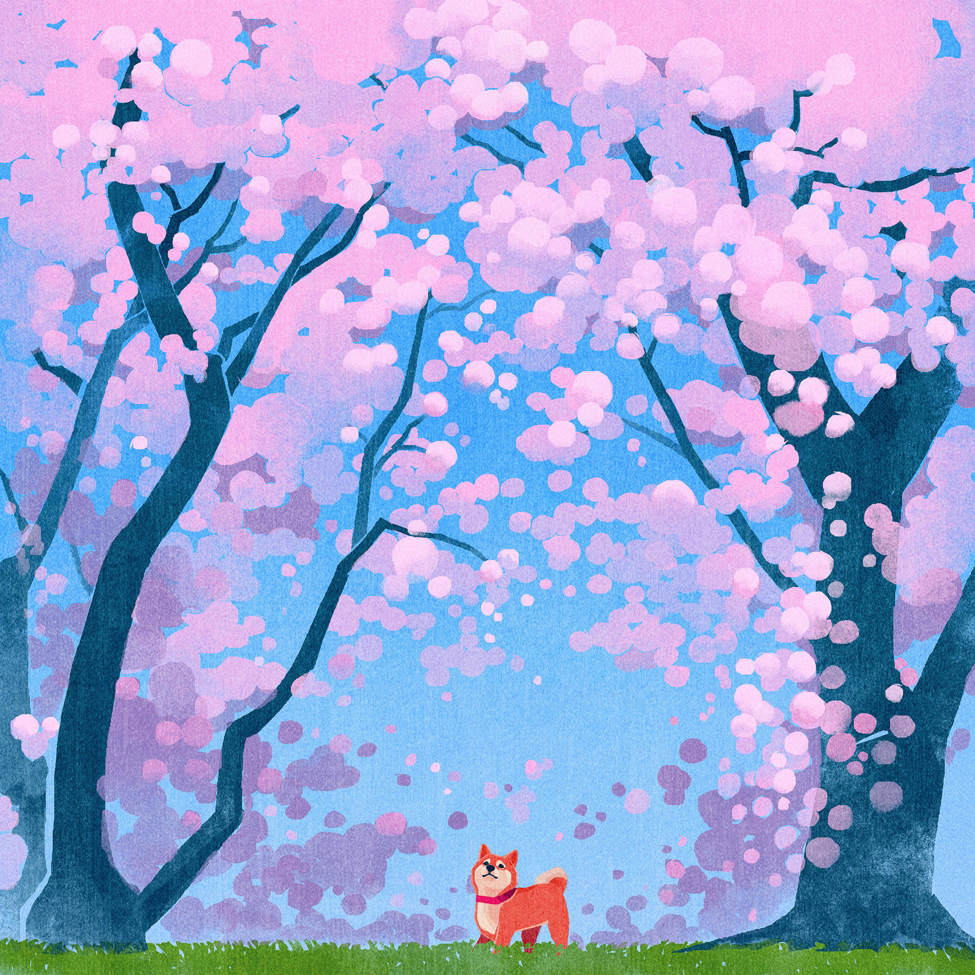 Ipad Pro Cute Dog In Cherry Blossoms