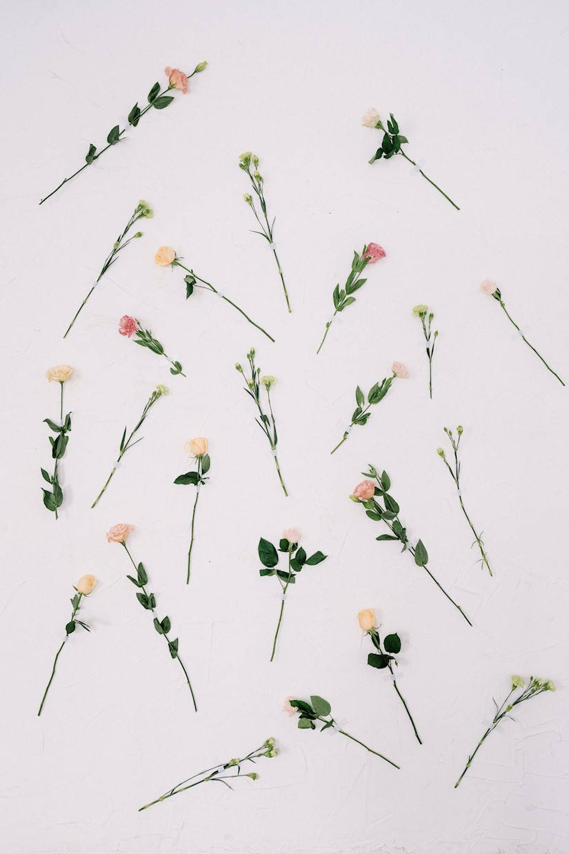 Ipad Pro Cute Thin Flowers Background