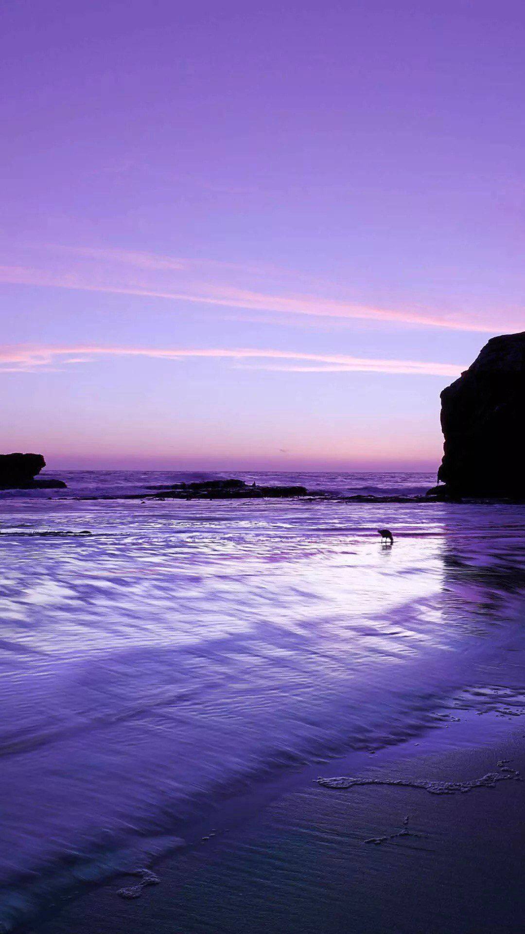 Iphone 11 Purple Beach Hd Background