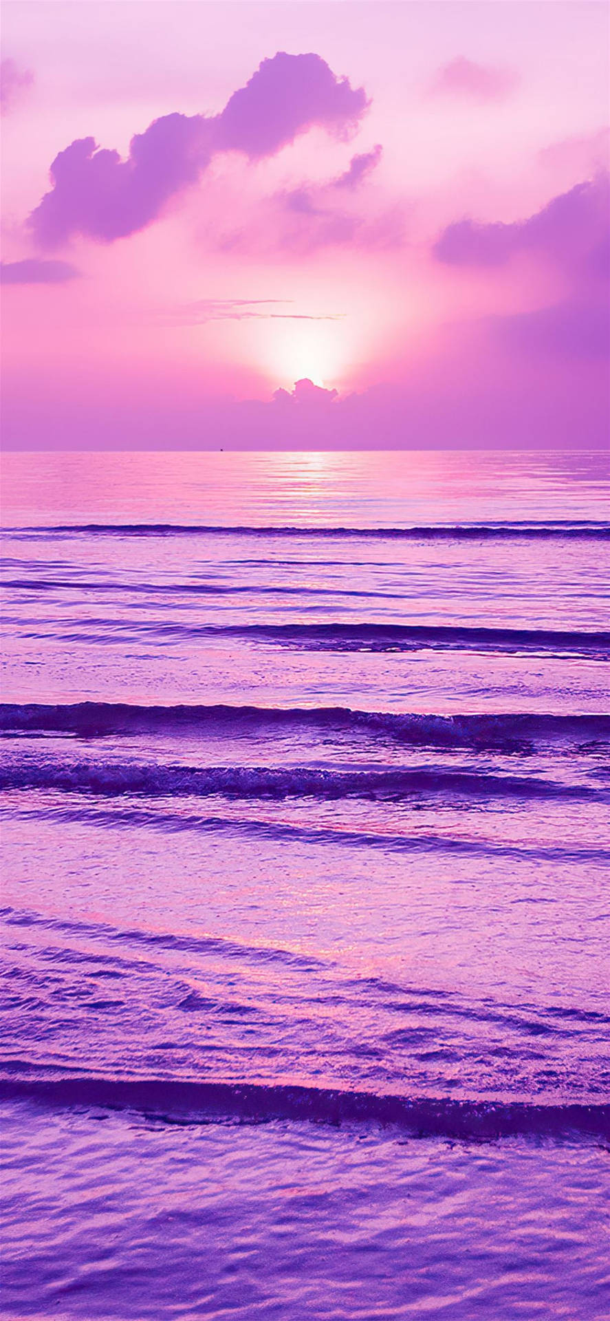 Iphone 11 Purple Kit Free Ensemble Background