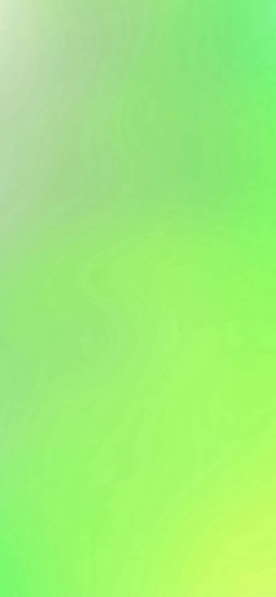 Iphone 11 Refreshing Green Background