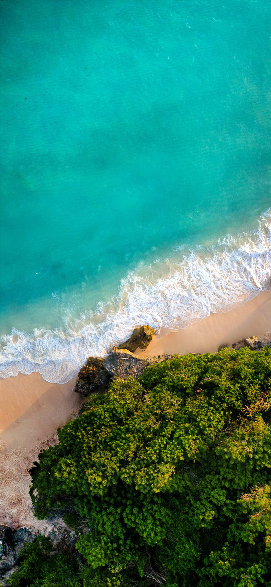 Iphone 7 Beach And Trees Background