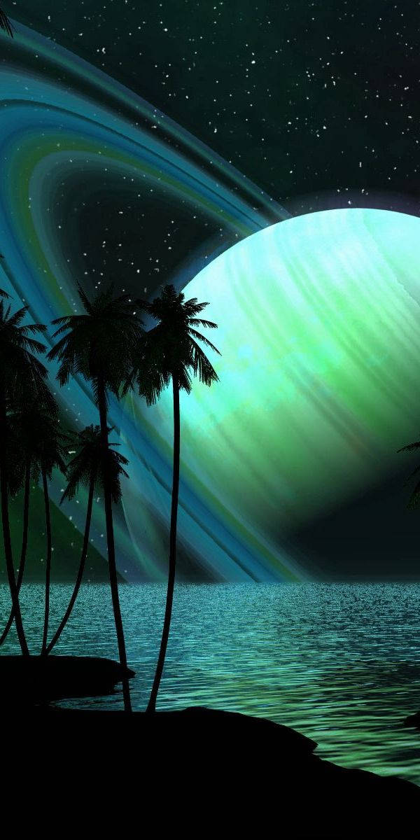 Iphone 7 Plus Space And Palm Trees Background