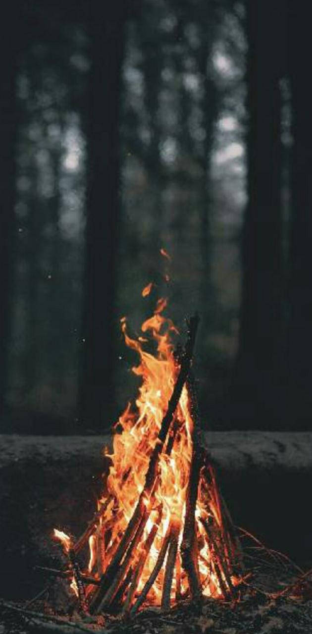 Iphone Bonfire Aesthetic Vibes Forest