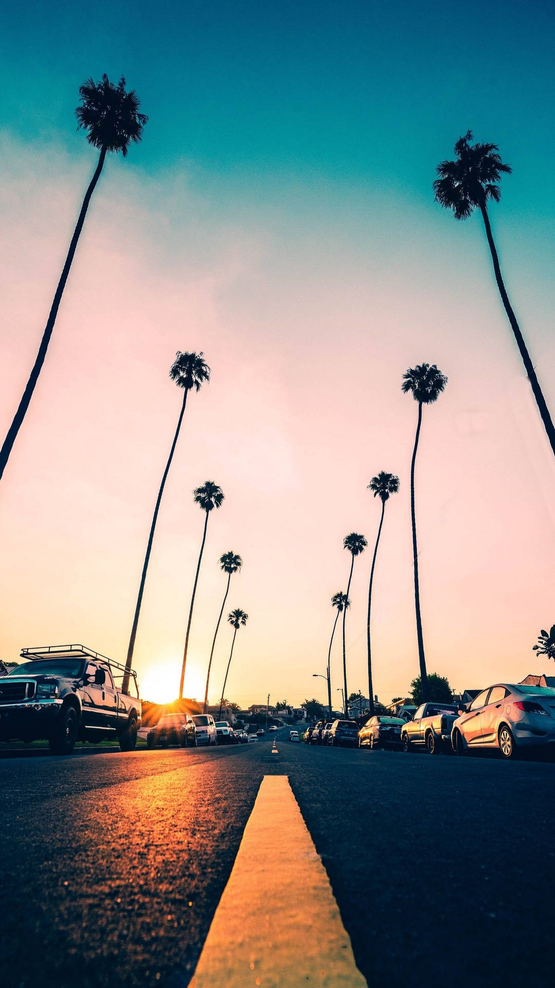 Iphone California Cars And Palm Trees Background