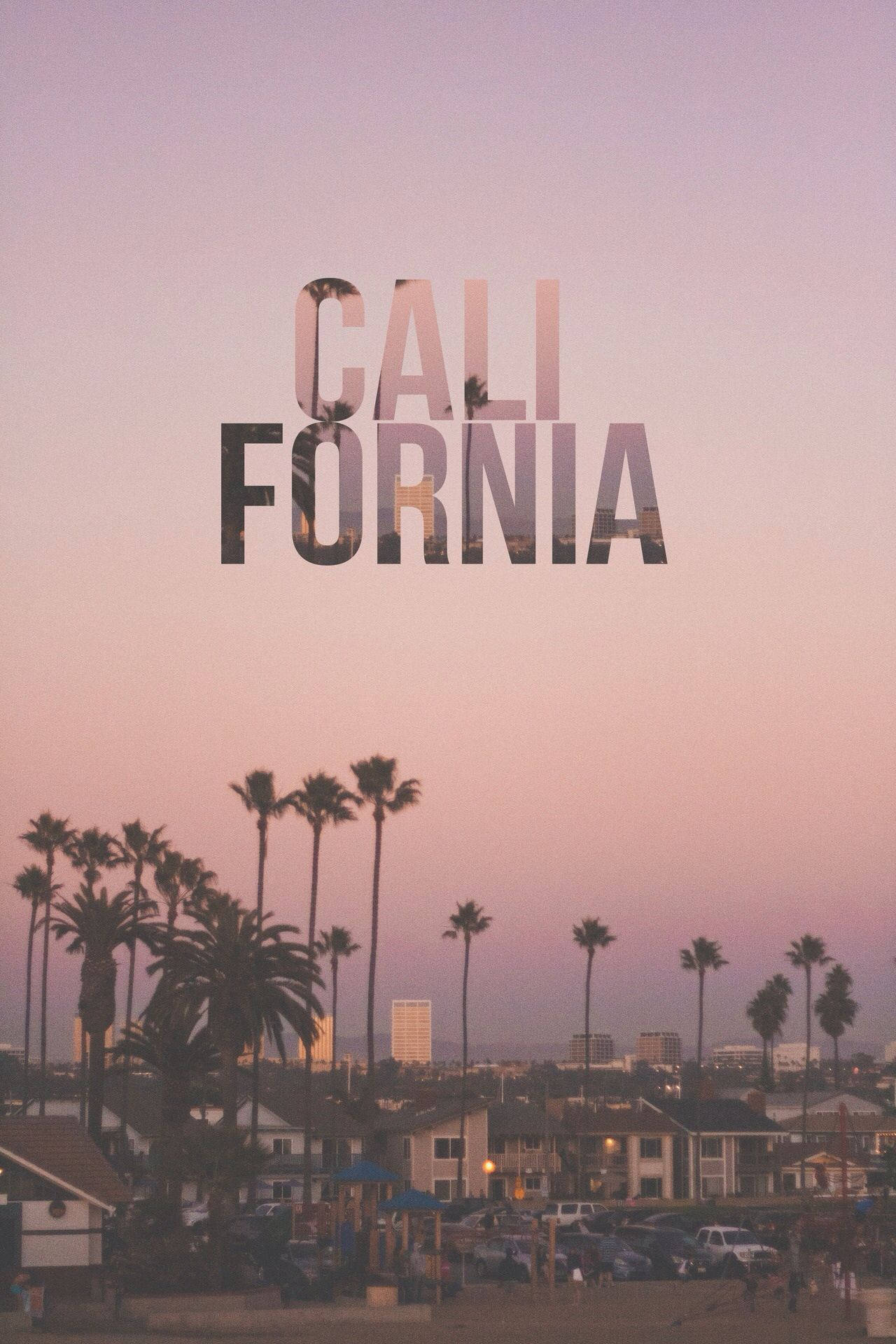 Iphone California Neigborhood Palm Trees Background