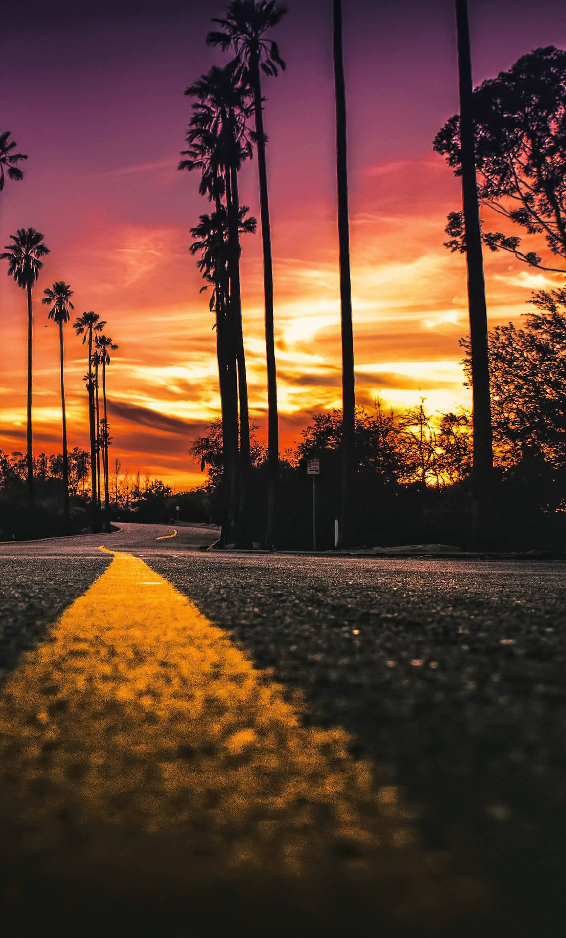 Iphone California Sunset Palm Trees Background