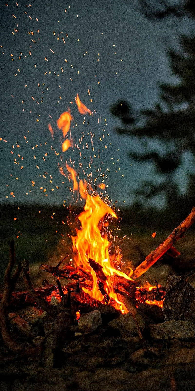 Iphone Camp Fire Forest Background