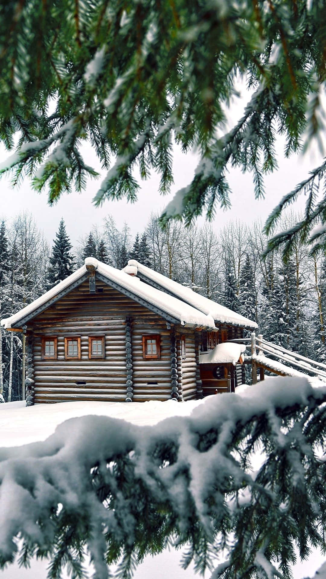 Iphone Christmas Snow Home Forest Background