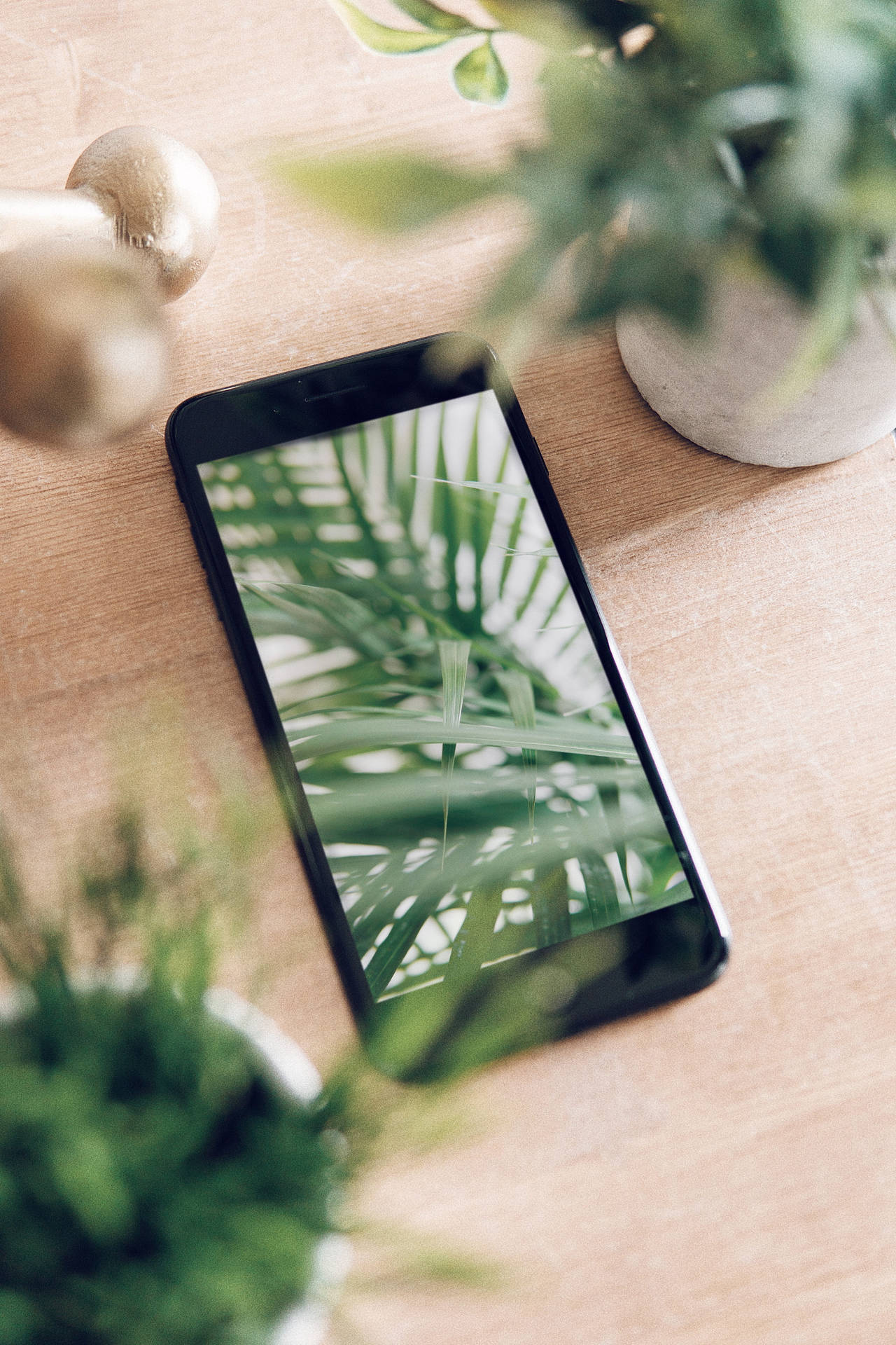 Iphone Desk With Plants Background